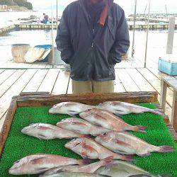 海の釣堀 海恵 釣果