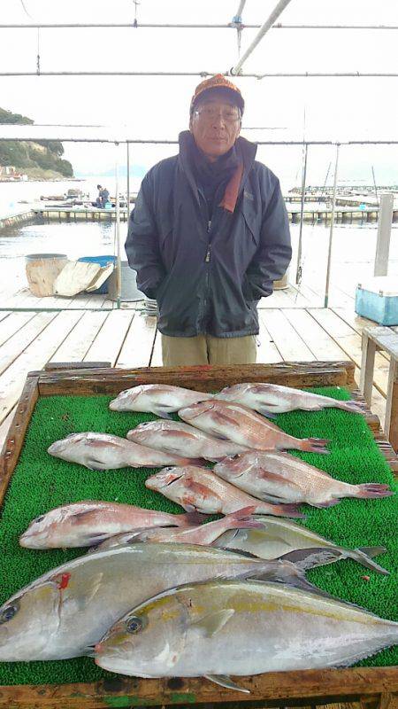 海の釣堀 海恵 釣果