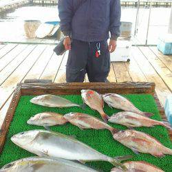 海の釣堀 海恵 釣果