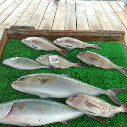 海の釣堀 海恵 釣果