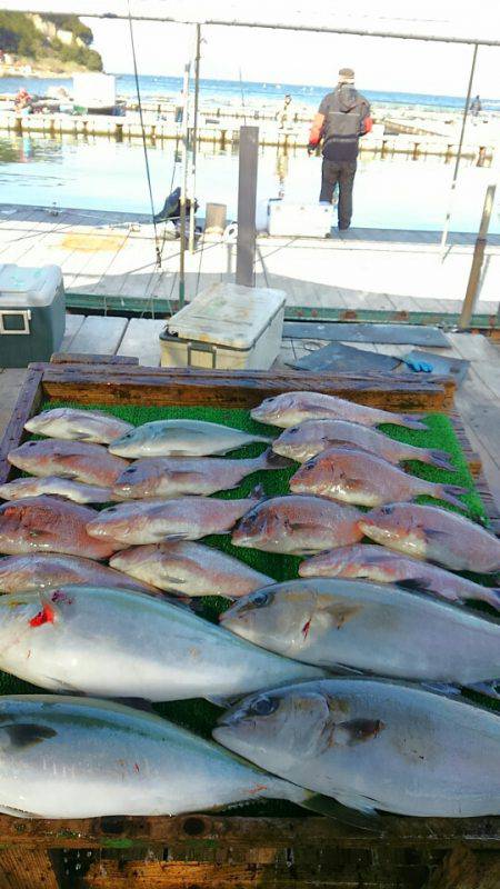 海の釣堀 海恵 釣果