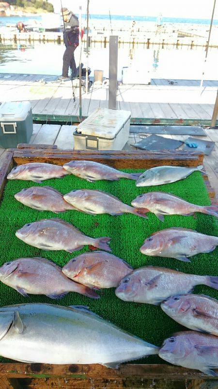 海の釣堀 海恵 釣果