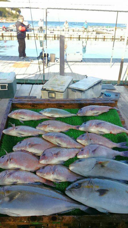 海の釣堀 海恵 釣果