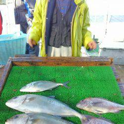 海の釣堀 海恵 釣果