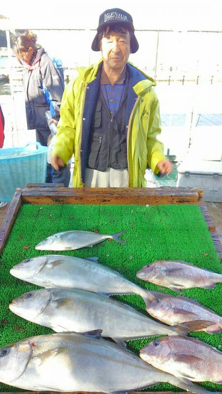 海の釣堀 海恵 釣果