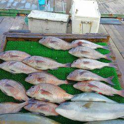 海の釣堀 海恵 釣果