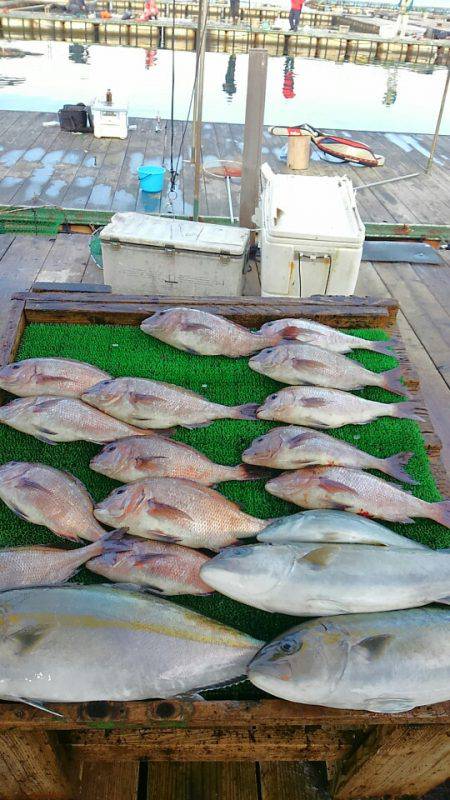 海の釣堀 海恵 釣果