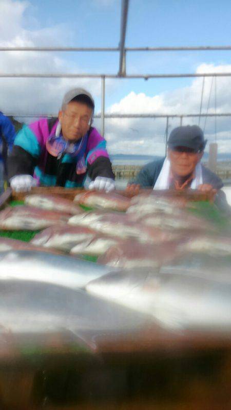 海の釣堀 海恵 釣果