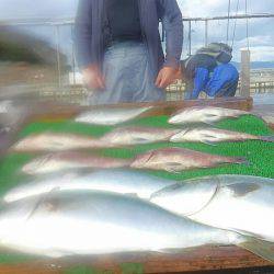 海の釣堀 海恵 釣果