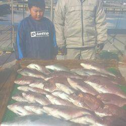 海の釣堀 海恵 釣果