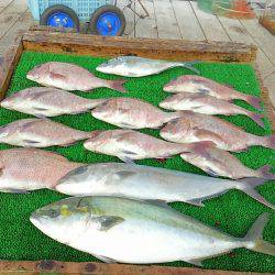 海の釣堀 海恵 釣果