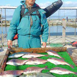 海の釣堀 海恵 釣果