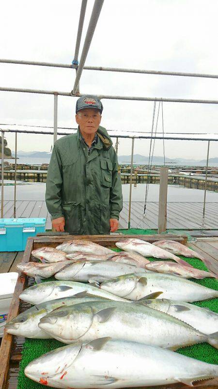 海の釣堀 海恵 釣果