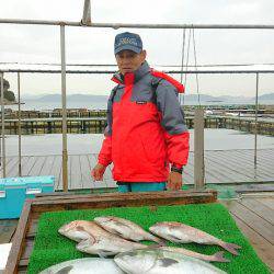 海の釣堀 海恵 釣果