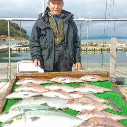 海の釣堀 海恵 釣果