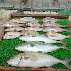 海の釣堀 海恵 釣果