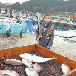 海の釣堀 海恵 釣果