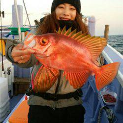 新幸丸 釣果