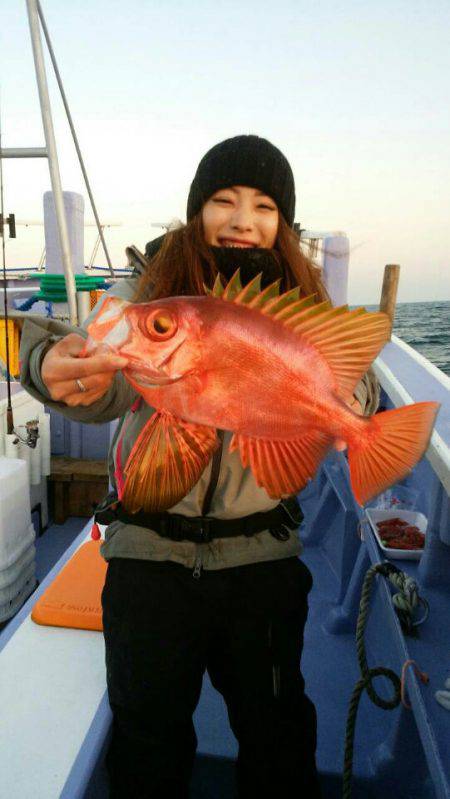 新幸丸 釣果