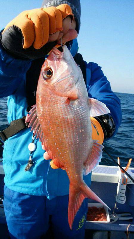 新幸丸 釣果