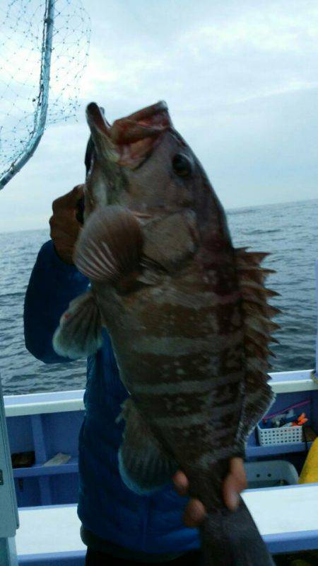 新幸丸 釣果