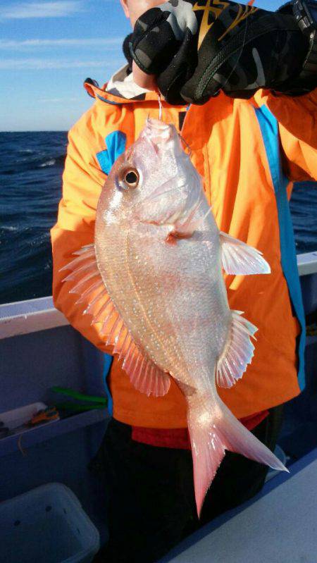 新幸丸 釣果