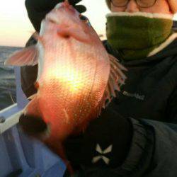 新幸丸 釣果