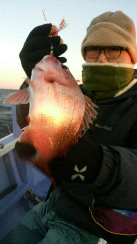 新幸丸 釣果