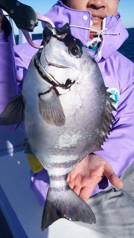 新幸丸 釣果