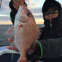 新幸丸 釣果