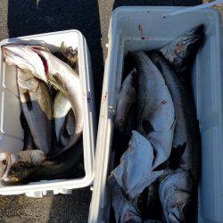 海龍丸（島根） 釣果