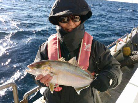 ありもと丸 釣果