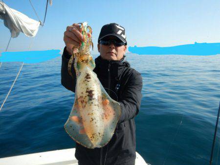 きずなまりん 釣果