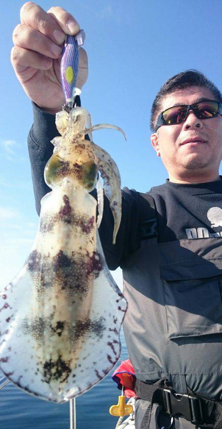 シースナイパー海龍 釣果