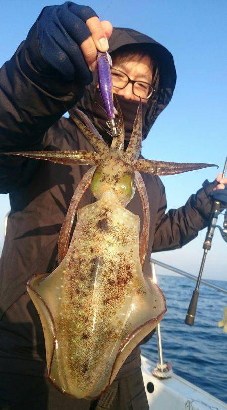 シースナイパー海龍 釣果