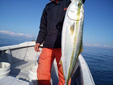 ひな丸 釣果