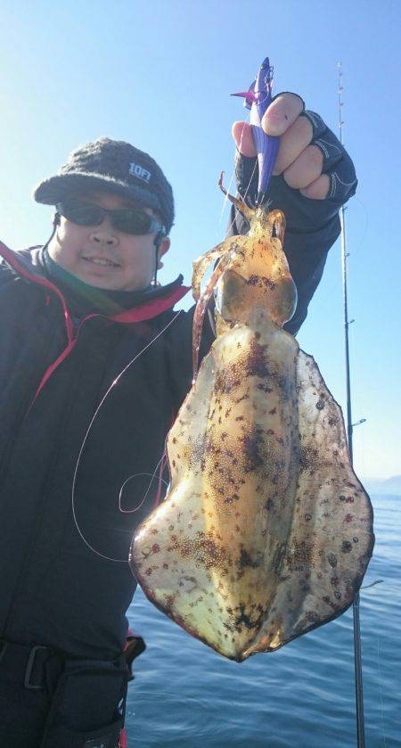 シースナイパー海龍 釣果