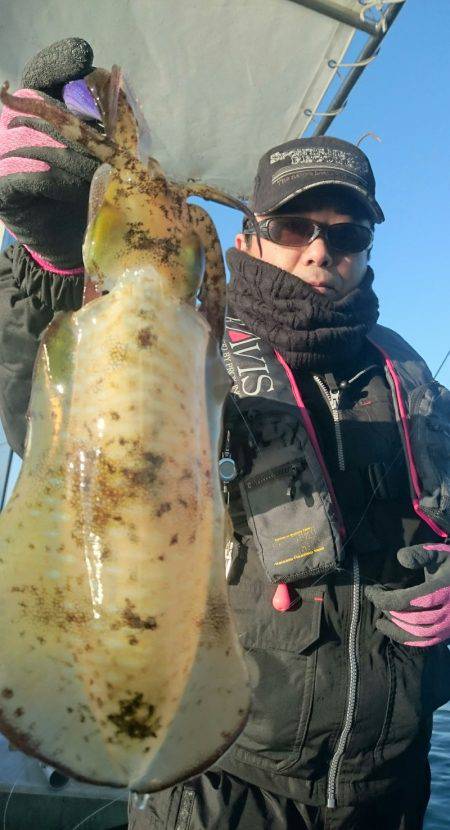 シースナイパー海龍 釣果