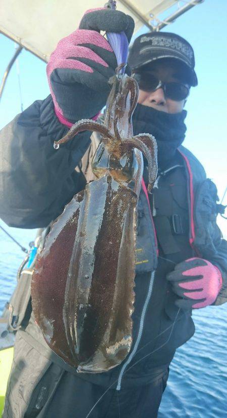 シースナイパー海龍 釣果