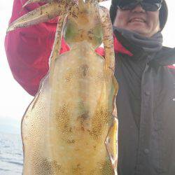 シースナイパー海龍 釣果