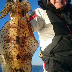 シースナイパー海龍 釣果