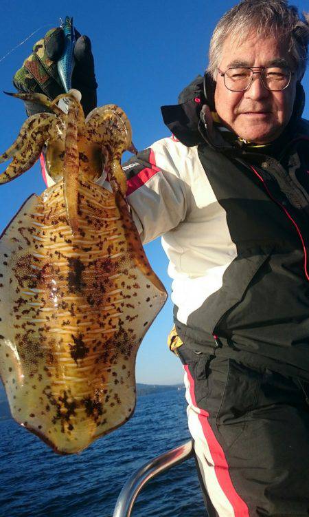 シースナイパー海龍 釣果