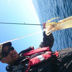 シースナイパー海龍 釣果