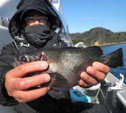 美咲丸 釣果