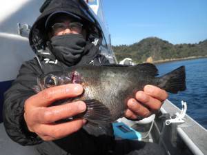 美咲丸 釣果