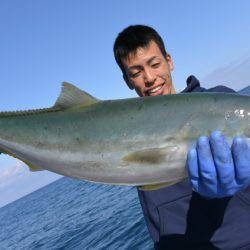 ジギング船 BLUEWATER 釣果