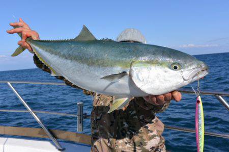 ジギング船 BLUEWATER 釣果