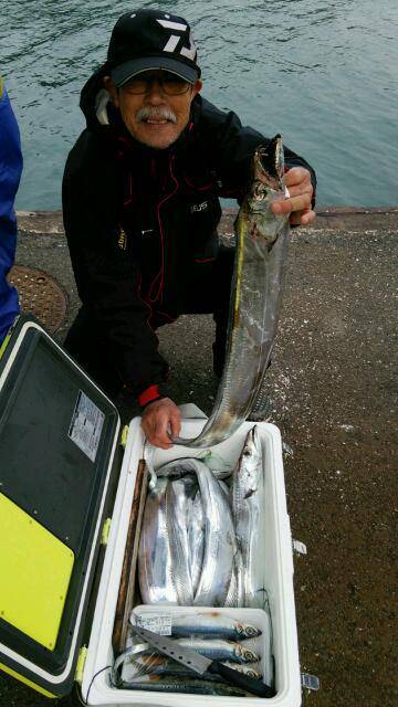 釣り船くわだ 釣果