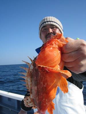 松栄丸 釣果