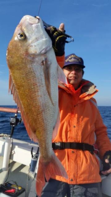 飛燕さくら丸 釣果